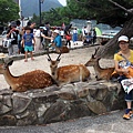 嚴島神社8.JPG