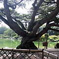 栗林公園1.JPG