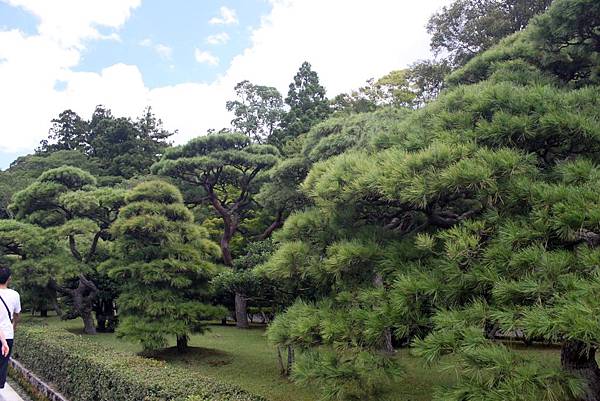 伊勢神宮10.JPG