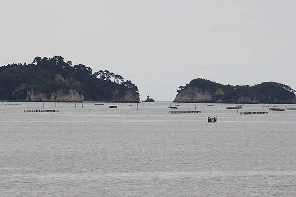 松島20.JPG