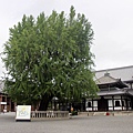 西本願寺2.JPG