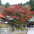 大阪勝尾寺16.JPG