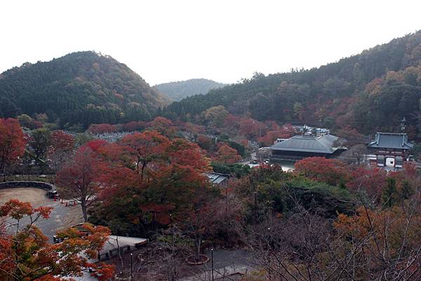 大阪勝尾寺22.JPG