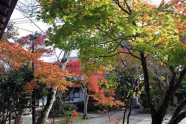 西江寺4.JPG