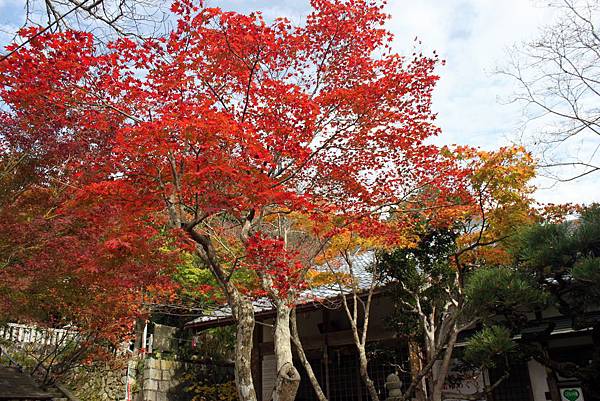 西江寺1.JPG