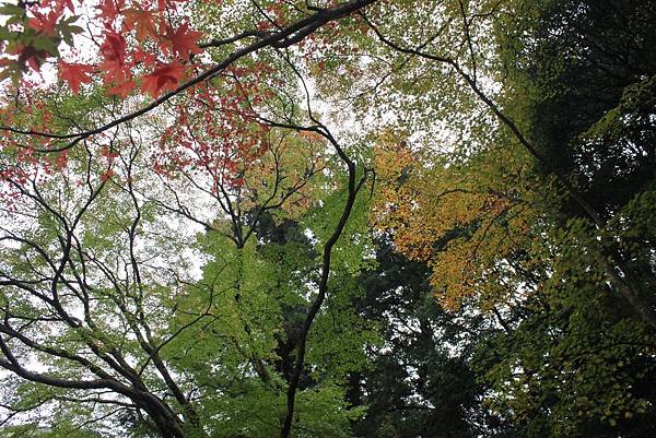 瀧安寺5.JPG