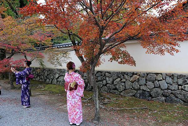 天龍寺14.JPG