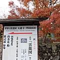 天龍寺17.JPG