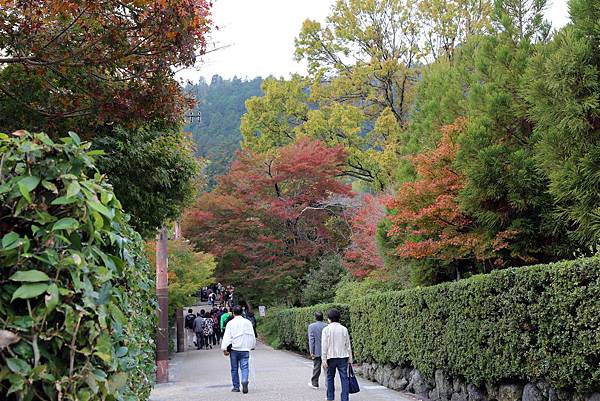 差峨野12.JPG