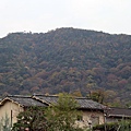 差峨野20.JPG