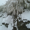 04合歡山4.JPG