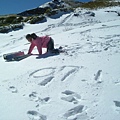 07合歡山.JPG