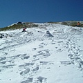 07合歡山5.JPG