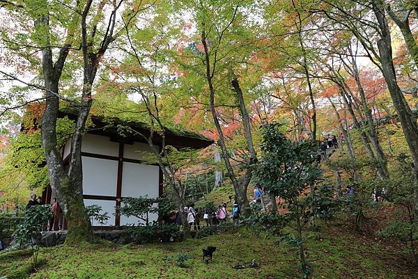 常寂光寺12.JPG