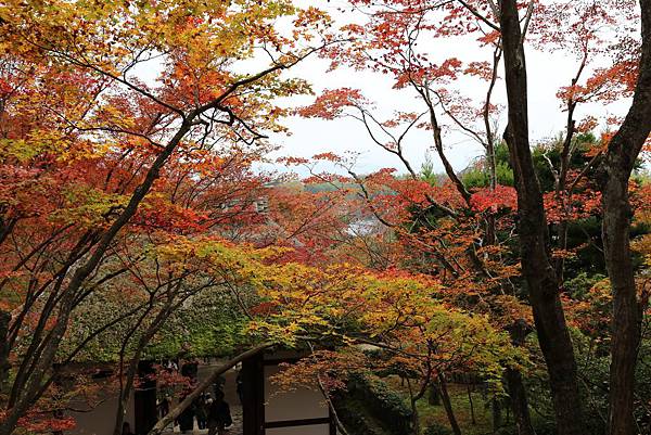 常寂光寺20.JPG