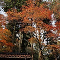 石山寺1.JPG