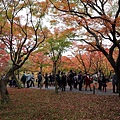 東福寺3.JPG