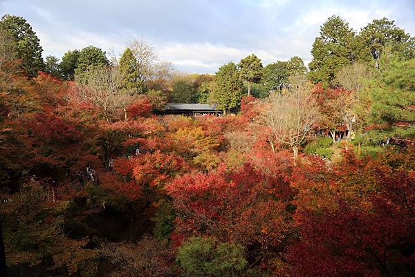 東福寺1.JPG