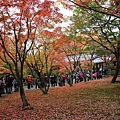 東福寺7.JPG