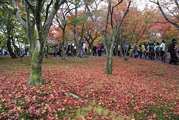 東福寺15.JPG