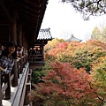 東福寺16.JPG