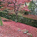 東福寺22.JPG