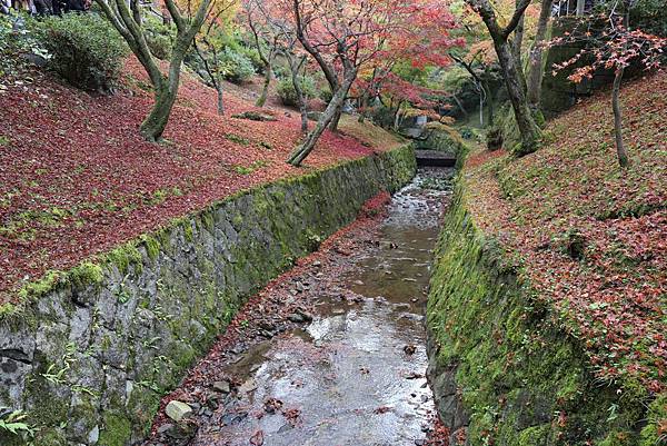 東福寺27.JPG