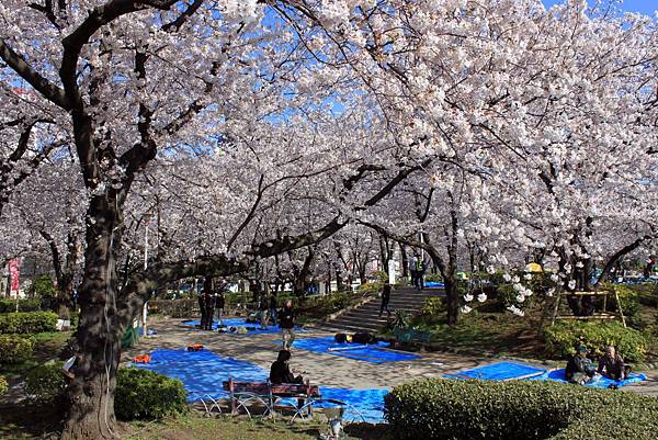 隅田公園2.JPG