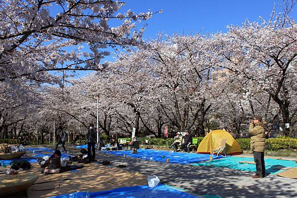 隅田公園4.JPG