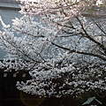 靖國神社3.JPG