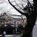 靖國神社5.JPG