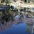 靖國神社16.JPG