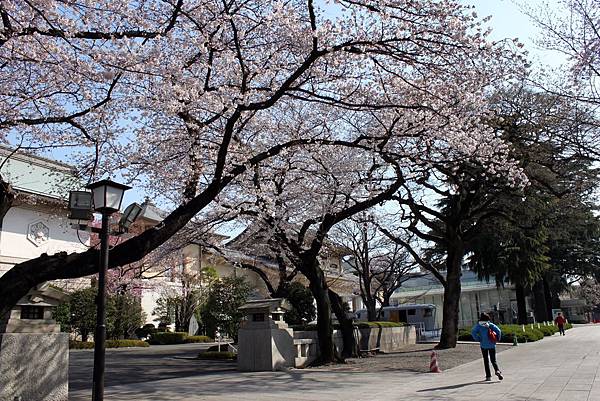 靖國神社29.JPG