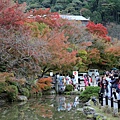 清水寺8.JPG