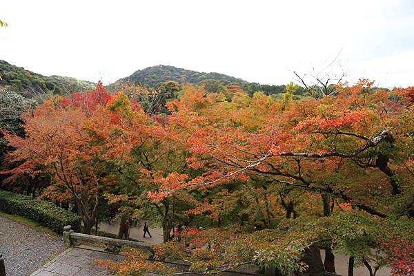 清水寺16.JPG