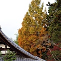 南禪寺2.JPG