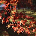 南禪寺1.JPG