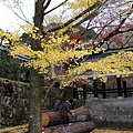 南禪寺3.JPG