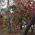 南禪寺14.JPG