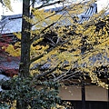 南禪寺15.JPG