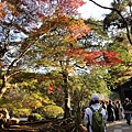 南禪寺17.JPG