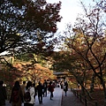 南禪寺19.JPG