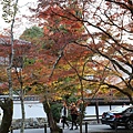 南禪寺20.JPG