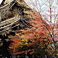 南禪寺21.JPG