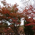 南禪寺23.JPG
