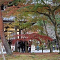 南禪寺24.JPG