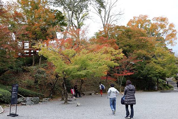 宇治 平等院18.JPG