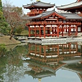 宇治 平等院17.JPG