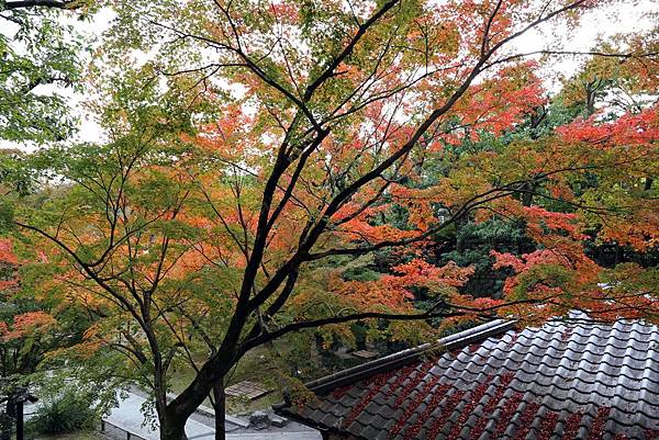 宇治 平等院28.JPG 宇治 平等院28.JPG