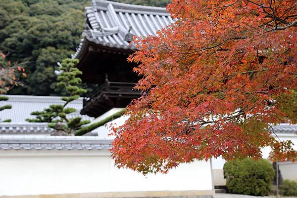 宇治興盛寺0.JPG 宇治興盛寺0.JPG